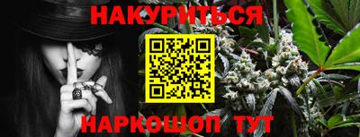 spice Кингисепп