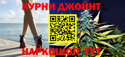 spice Кингисепп