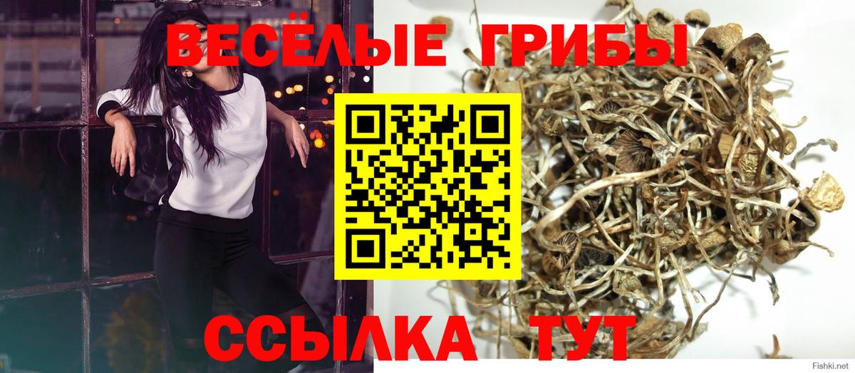 Галлюциногенные грибы Magic Shrooms  купить наркотик  Киселёвск  Вход с VPN 