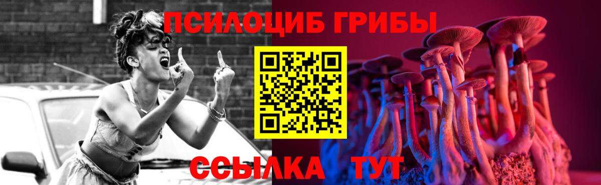 Псилоцибиновые грибы мицелий Киселёвск